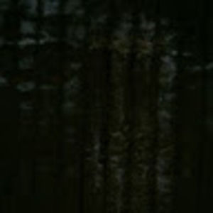 Meet your Posher, Lillie